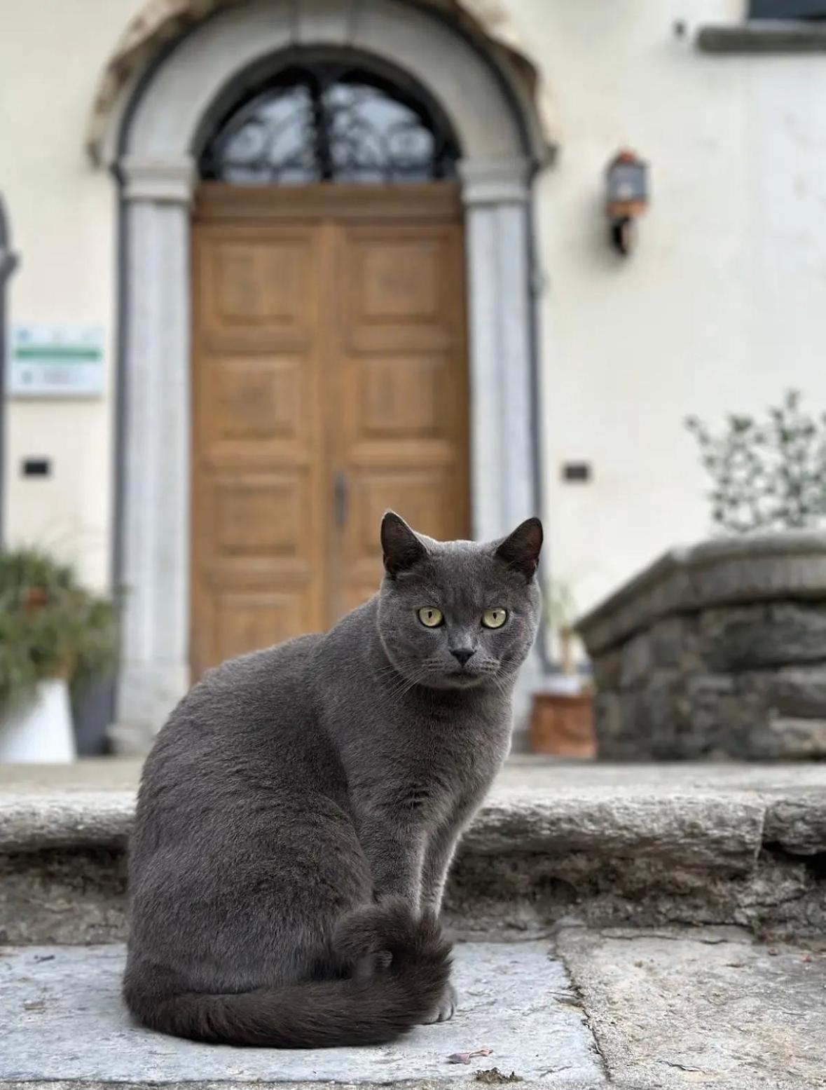B&B La Dolce Casa Lago Di Como Cremia Exterior foto